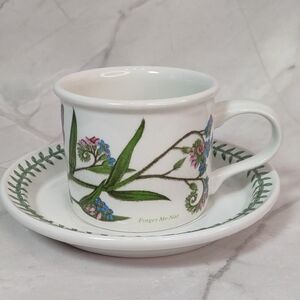 Vintage Portmeirion Botanic Garden Cup/Saucer